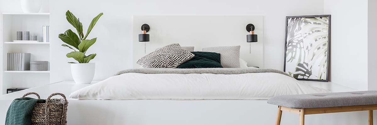 Fresh,Green,Plant,Standing,On,Platform,By,The,Mattress,With